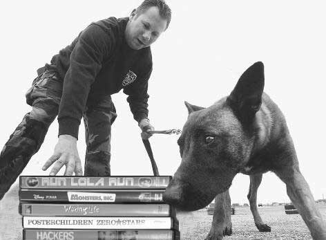 DVD-Sniffing Dogs... Whats Next?