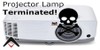 EU Regulation to KILL Lamp Projectors for Mercury Hazards