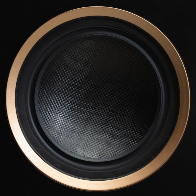 6.5-inch Kevlar Midrange