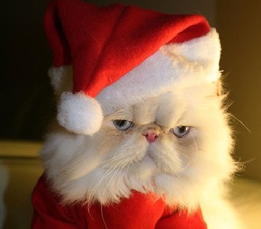 Merry Christmas - Sony Cuts PS3 Prices in Europe