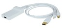 displayport HDMI