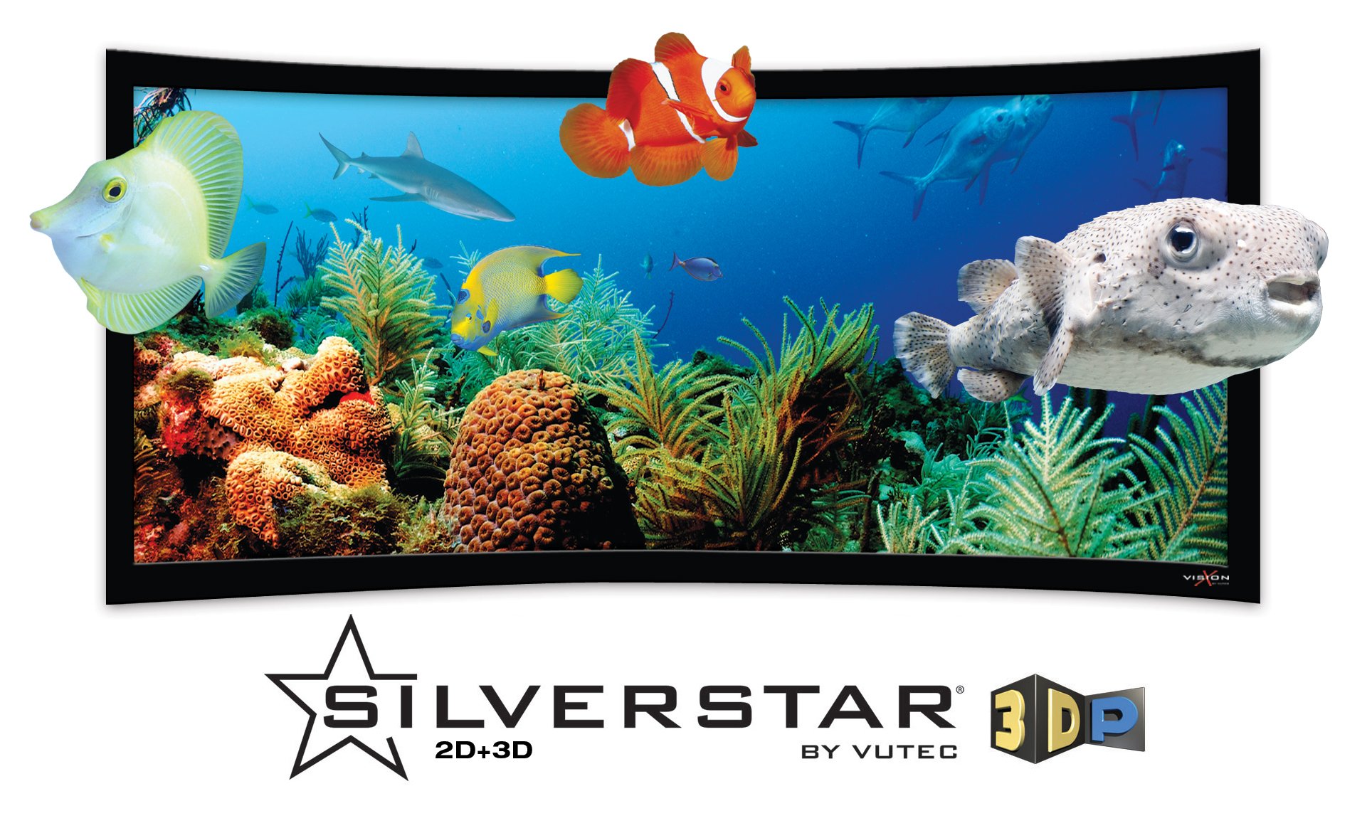 Vutec SilverStar 3D-P Curved Projection Screen Preview | Audioholics