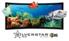 Vutec SilverStar 3D-P Curved Projection Screen Preview