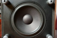 cs6100woofer