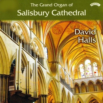 Organ of Salisbury