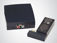 Paradigm wireless transmitter.jpg