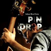 Pin Drop.jpg