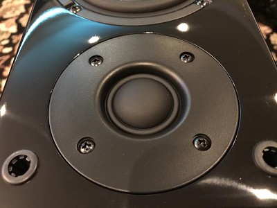 Detail of the RSL CG3 Tweeter