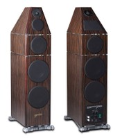 Maestro with grillsC.jpg