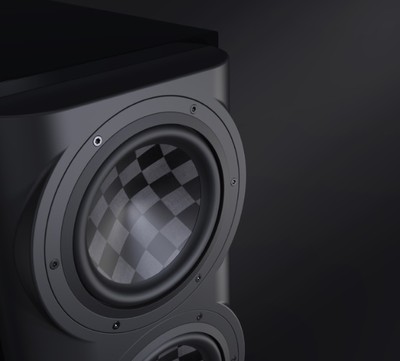 Perlisten woofer.jpg