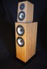 Canalis Allegra 2.0 Floorstanding Speaker Preview