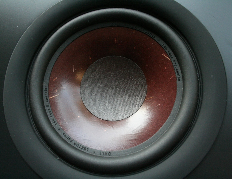 DALI LEKTOR 8 Floorstanding Speaker Review Audioholics