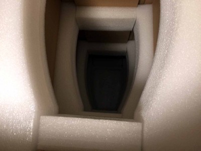 foam in carton.JPG