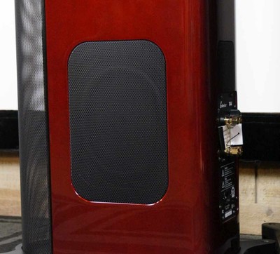 T44 passive radiator