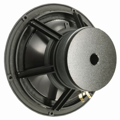 SE 10-in woofer.jpg