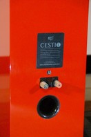 Cesti_rear3.jpg