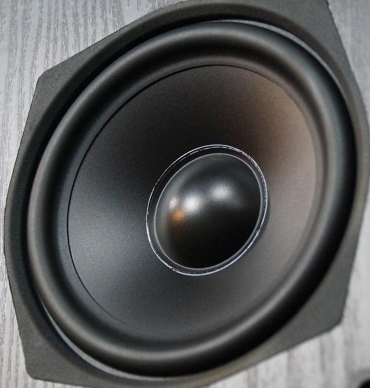 T5 woofer close up