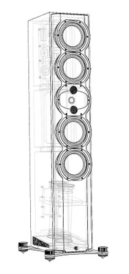 R7t X ray view