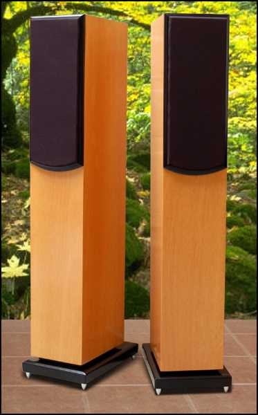 Salk SongTower QWT Floorstanding Speaker Review