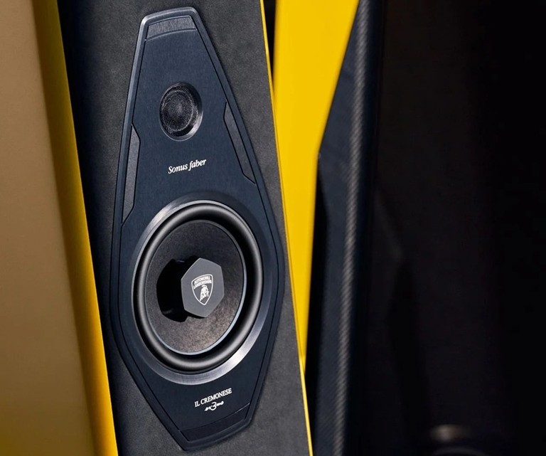 Lambo Shield on midrange driver