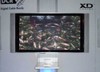 LG Plasma Displays with XD Engine