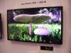 LG Prototype Displays